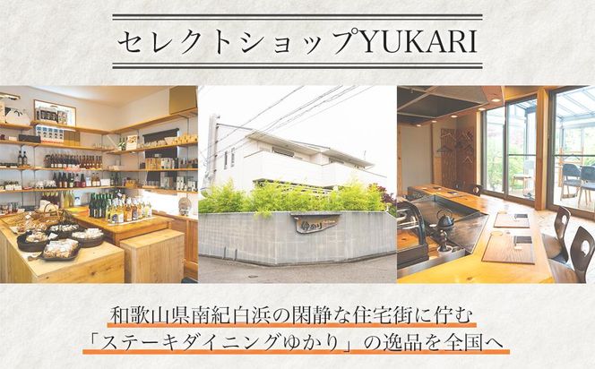 熊野牛 100％ 使用 特製 熊野牛 ハンバーグ シチュー 5個 セット 304018_AY01