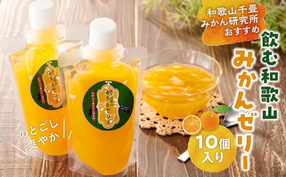 飲む和歌山みかんゼリー 10個 和歌山千畳みかん研究所おすすめ 304018_BT03