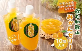 飲む和歌山みかんゼリー 10個 和歌山千畳みかん研究所おすすめ 304018_BT03