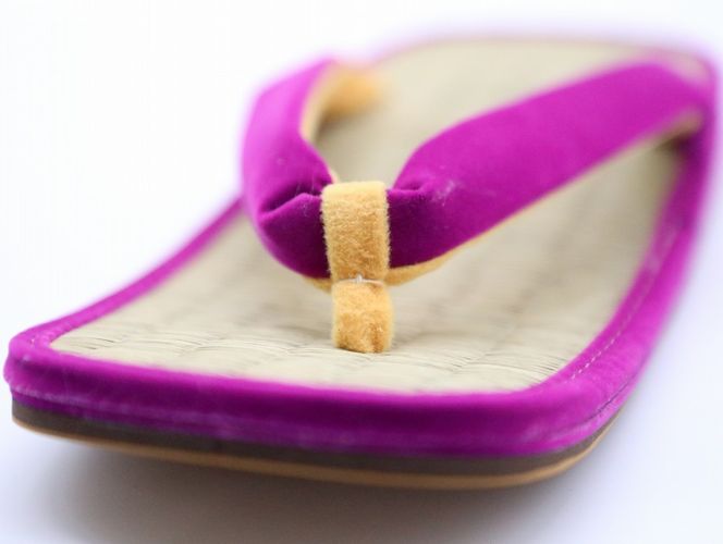 inoca  SETTA　MEN【葡萄×紫紺】 304018_BZ001VC04