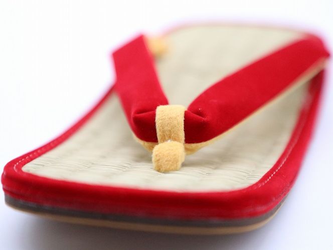 inoca  SETTA　MEN【牡丹×紺青】 304018_BZ001VC07