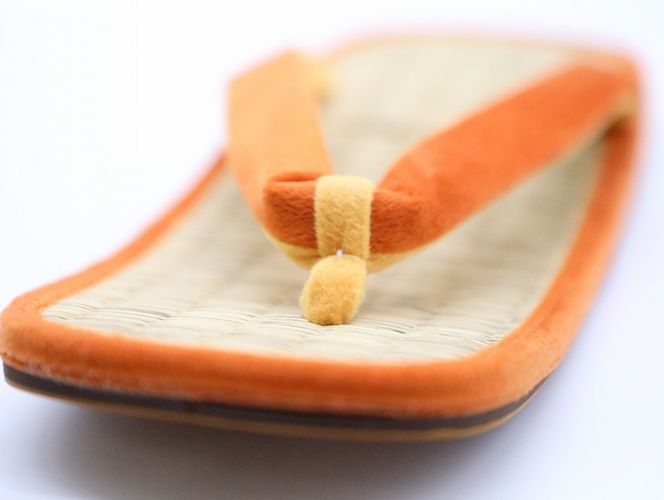 inoca  SETTA　MEN【胡桃×紫紺】 304018_BZ001VC16