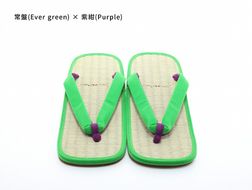 inoca  SETTA　MEN【常磐×紫紺】 304018_BZ001VC40