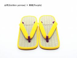 inoca  SETTA　MEN【山吹×紫紺】 304018_BZ001VC48