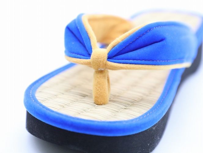 inoca  SETTA　WOMEN【瑠璃×紫紺】 304018_BZ002VC32