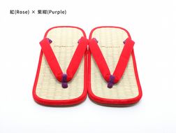 inoca  SETTA　OVERSEAS【紅×紫紺】 304018_BZ003VC20