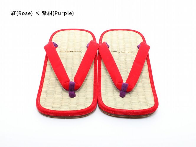 inoca  SETTA　OVERSEAS【紅×紫紺】 304018_BZ003VC20