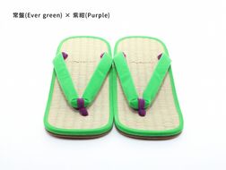 inoca  SETTA　OVERSEAS【常磐×紫紺】 304018_BZ003VC40