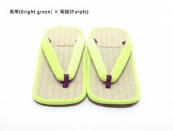 inoca  SETTA　OVERSEAS【若草×紫紺】 304018_BZ003VC44