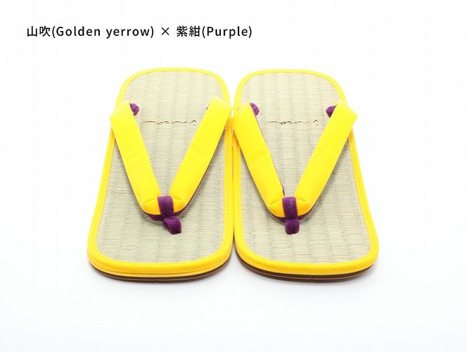 inoca  SETTA　OVERSEAS【山吹×紫紺】 304018_BZ003VC48