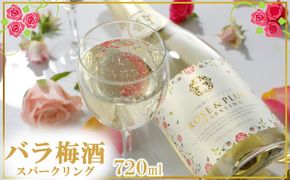 バラ梅酒スパークリング梅酒720ｍｌ 304018_CF001