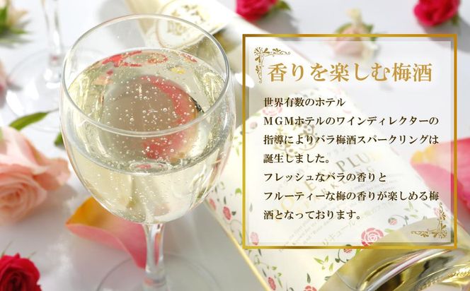 バラ梅酒スパークリング梅酒720ｍｌ 304018_CF001