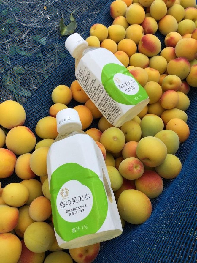 梅の果実水　350ｍｌ　24本 【受注後10日以内に発送します。但し、年末年始・お盆等・ＧＷは除きます。】 304018_CF003