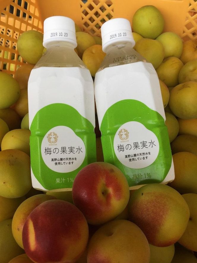梅の果実水　350ｍｌ　24本 【受注後10日以内に発送します。但し、年末年始・お盆等・ＧＷは除きます。】 304018_CF003