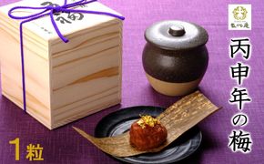 丙申年の梅　１粒　１箱（みなべ町） 304018_CF1004