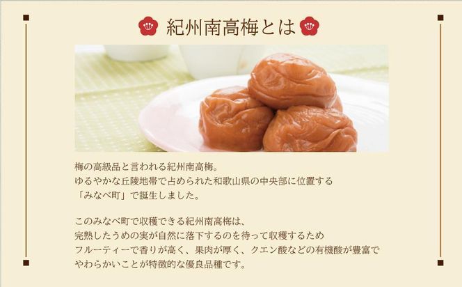 丙申年の梅　１粒　１箱（みなべ町） 304018_CF1004