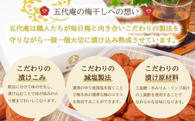 丙申年の梅　１粒　１箱（みなべ町） 304018_CF1004