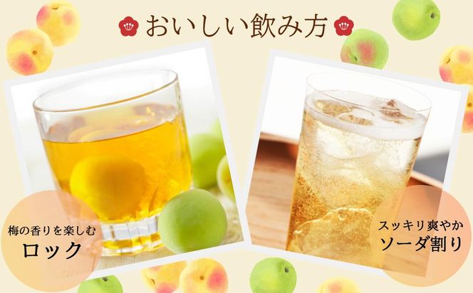 にごり梅酒　720ml（みなべ町） 304018_CF1005