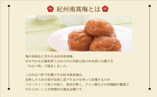 梅三華　各130g（390g）　１箱（みなべ町） 304018_CF1006