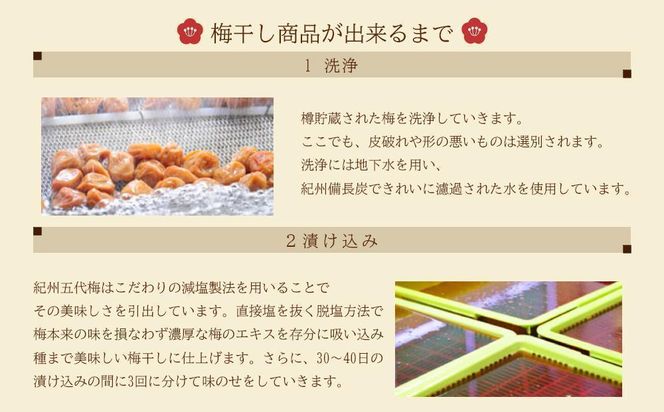 紀州五代の夢想　10粒　1箱（みなべ町） 304018_CF1008