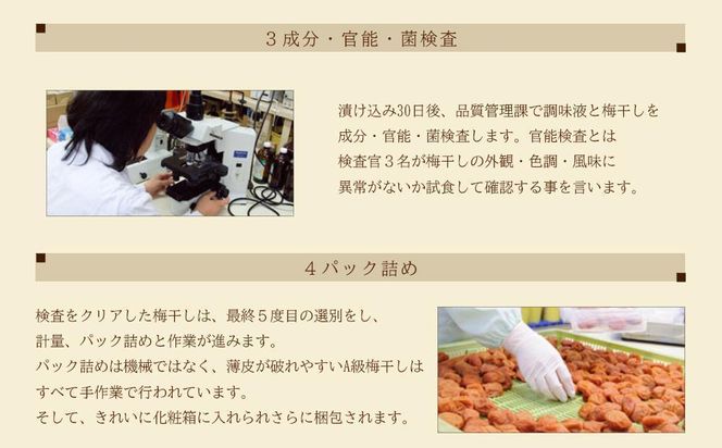 紀州五代の夢想　10粒　1箱（みなべ町） 304018_CF1008