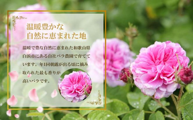 薔薇梅酒　720ml 1本（みなべ町） 304018_CF1013