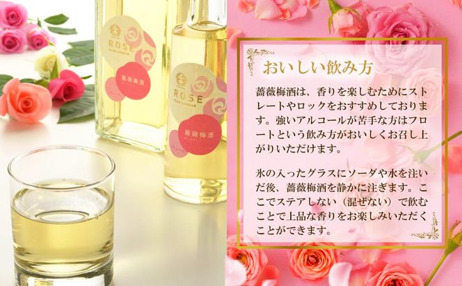 薔薇梅酒　720ml 1本（みなべ町） 304018_CF1013
