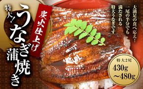 うなぎ蒲焼き2尾入り 430g～480g（蒲焼たれ4袋 山椒付き）［KS5］ 304018_CG1014