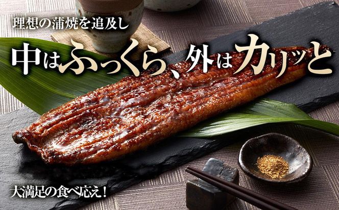 うなぎ蒲焼き2尾入り 430g～480g（蒲焼たれ4袋 山椒付き）［KS5］ 304018_CG1014