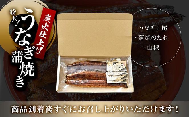 うなぎ蒲焼き2尾入り 430g～480g（蒲焼たれ4袋 山椒付き）［KS5］ 304018_CG1014