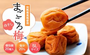 まごころ梅　白干し　塩分20％　5Lサイズ　個包装　１２個入り 304018_CS001