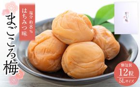 まごころ梅 はちみつ味 5Lサイズ 380g 個包装 304018_CS008