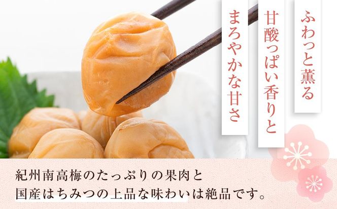 まごころ梅 はちみつ味 5Lサイズ 500g 304018_CS009