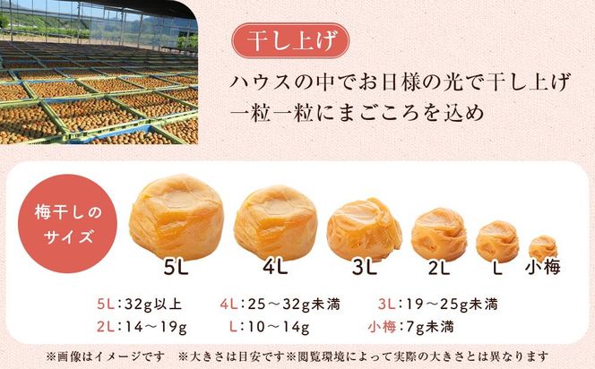 まごころ梅 はちみつ味 5Lサイズ 1kg 304018_CS010