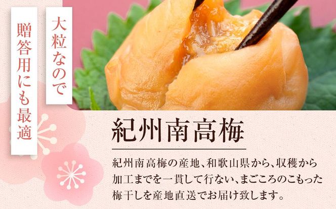 まごころ梅 はちみつ味 2Lサイズ 1kg 304018_CS011