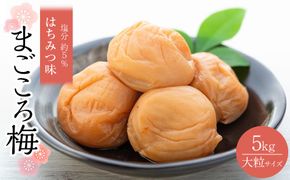 極上 紀州南高梅 まごころ梅 はちみつ 梅干し 3L サイズ以上 合計 5kg ( 1kg × 5 ) 塩分 約5％ 化粧箱入り 304018_CS015
