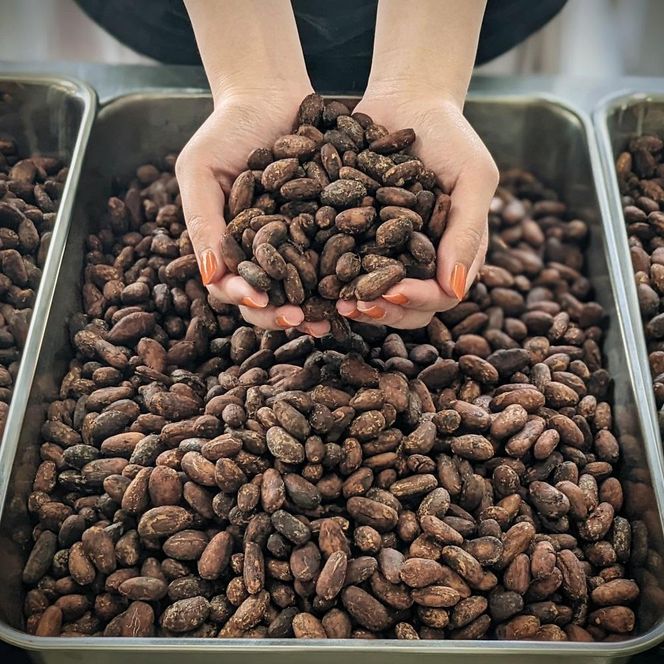 南紀白浜　クラフトチョコレート５枚セット黒色巾着付き【入金確認後7日程度で発送】 304018_CV004