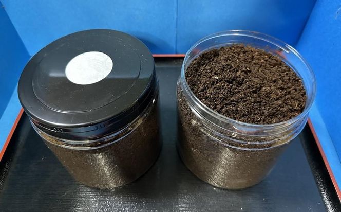 【先行予約】ヘラクレスオオカブト幼虫ペア ※育て方の説明書付き※配送不可地域あり【2026年6月から順次発送】 304018_CW003