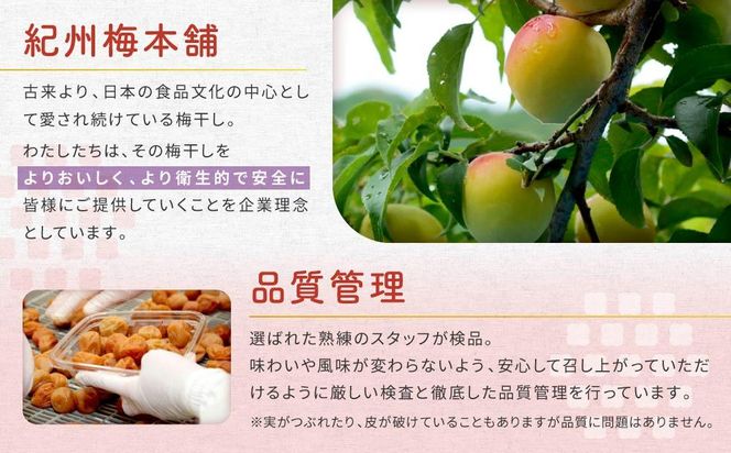 紀州南高梅　口熊野（白梅）1kg 塩分約22％ 304018_CX003
