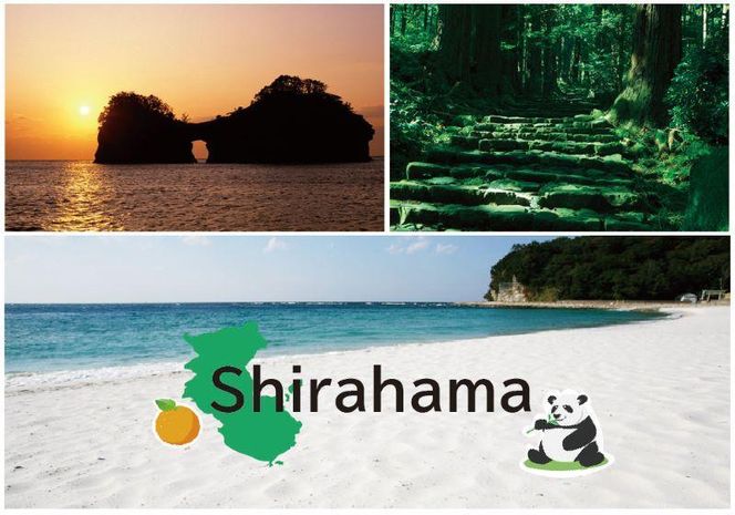 紀州南高梅　 口熊野（しそ）1kg 塩分約12％ 304018_CX012