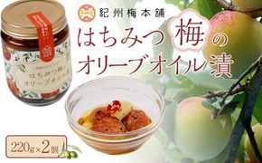 はちみつ梅のオリーブオイル漬け 国産にんにく入220g 2個 紀州梅本舗 304018_CX015