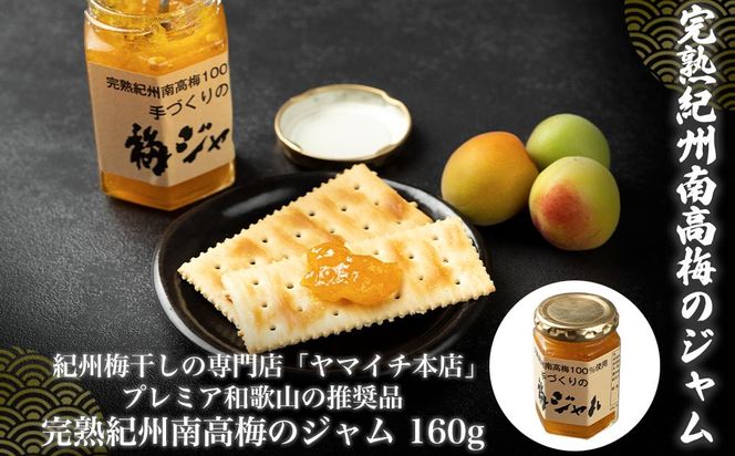 ya̎Rlzv~Aa̎R̐i@nIB썂~̃W@ 304018_D024