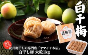 白干し梅　大粒1ｋｇ 304018_D033