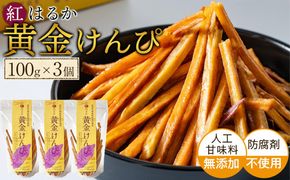 黄金けんぴ Y 100g × 3個セット 304018_DE01