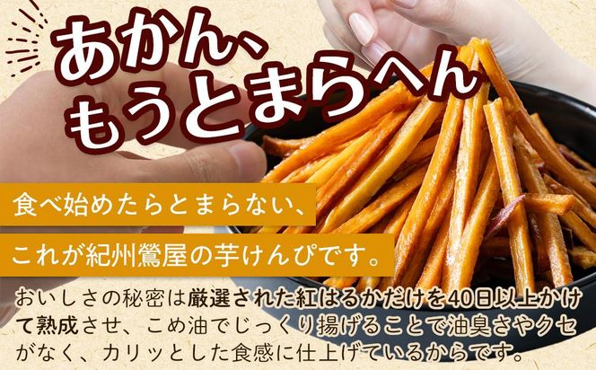 黄金けんぴ Y 100g × 3個セット 304018_DE01