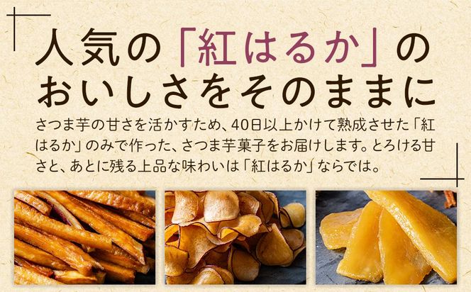 黄金けんぴ Y 100g × 3個セット 304018_DE01