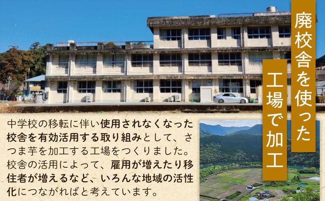 黄金けんぴ Y 100g × 3個セット 304018_DE01