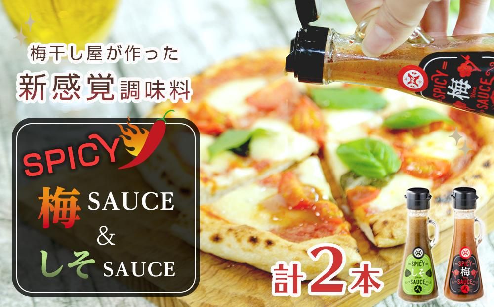 SPICY梅SAUCE&SPICYしそSAUCE2本セット(各1本) [梅干し屋が作った新感覚調味料] 304018_DG02