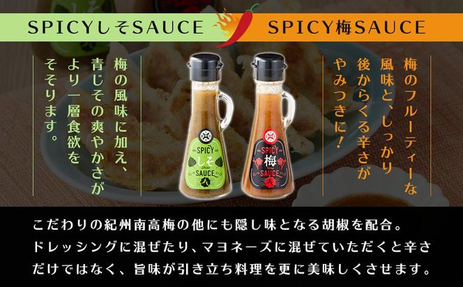 SPICY梅SAUCE＆SPICYしそSAUCE2本セット(各1本) 【梅干し屋が作った新感覚調味料】 304018_DG02