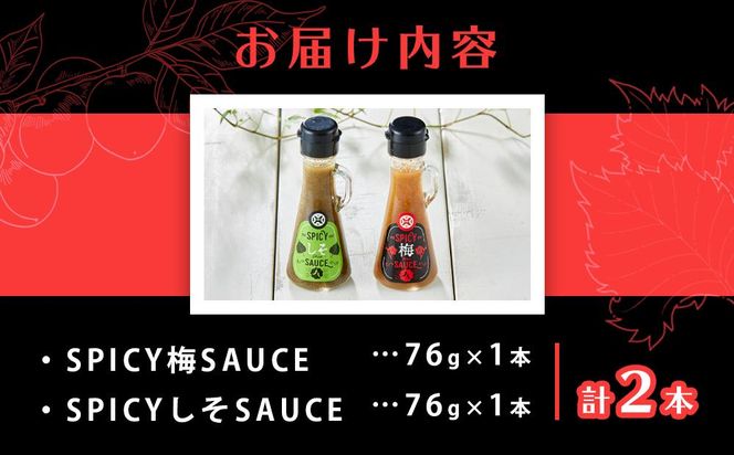 SPICY梅SAUCE＆SPICYしそSAUCE2本セット(各1本) 【梅干し屋が作った新感覚調味料】 304018_DG02